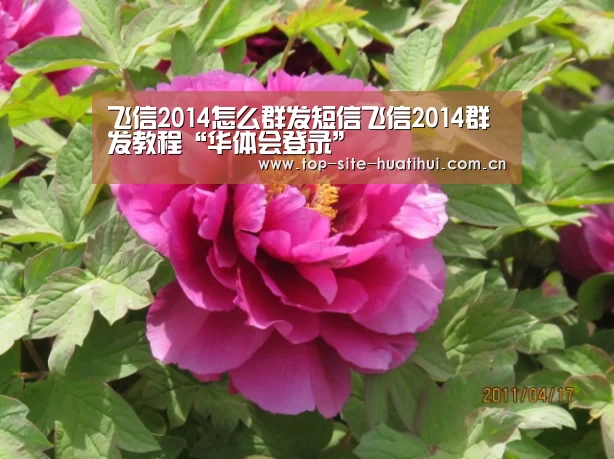华体会登录